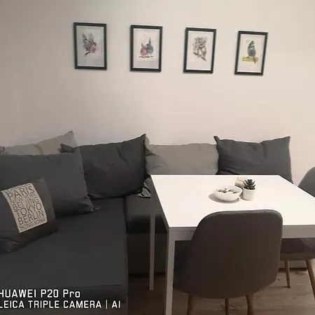 Breezy 5 Apartament Warna